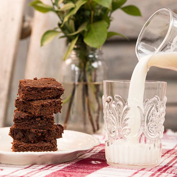 Chocolate Fudge